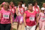 Race for Life at Lydiard Park - 15/06/08